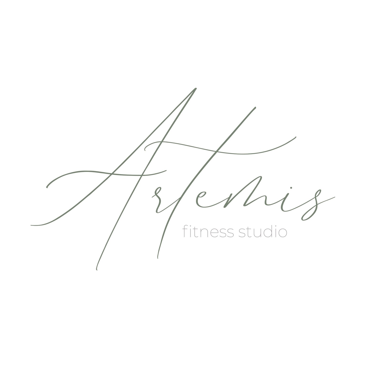 Artemis Fitness Studio Logo