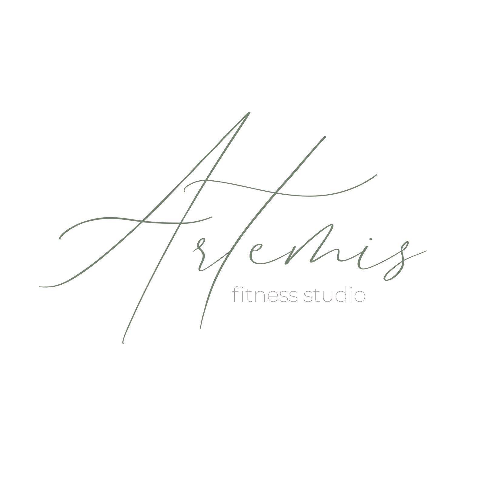 Artemis Fitness Studio logo